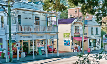 Do you live in or own a property in Thorndon, Wellington?