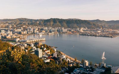 Wellington City Council releases pre-election report for 2025