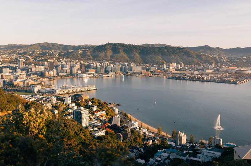 Wellington City Council releases pre-election report for 2025