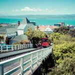 Have your say about Amalgamation