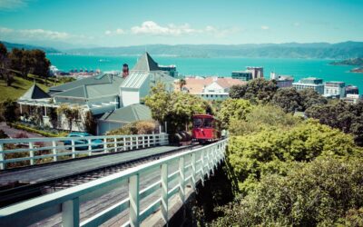 Have your say about Amalgamation