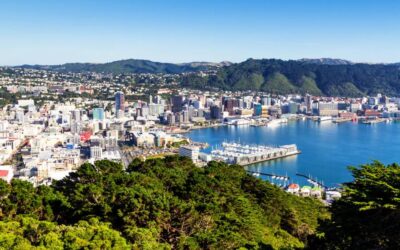 Local Government Amalgamation