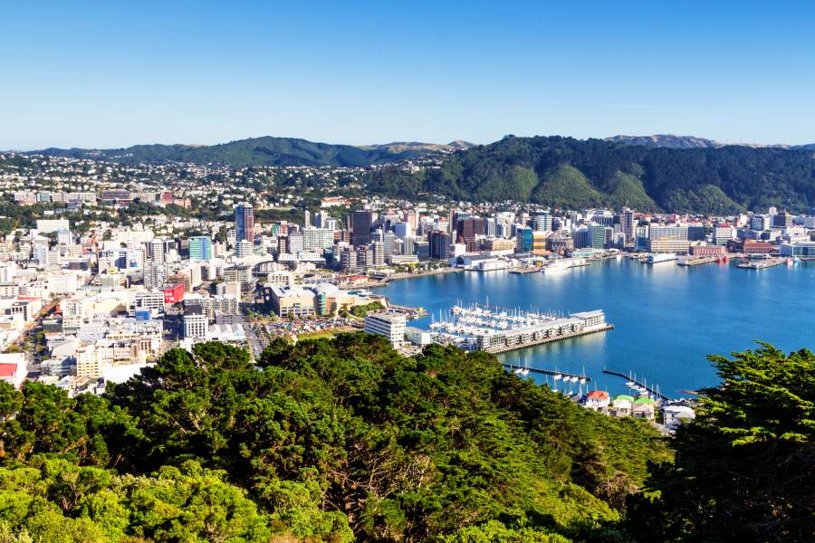 Local Government Amalgamation